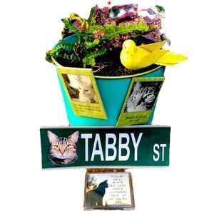 Cute kitty Cat magnet bundle of 4